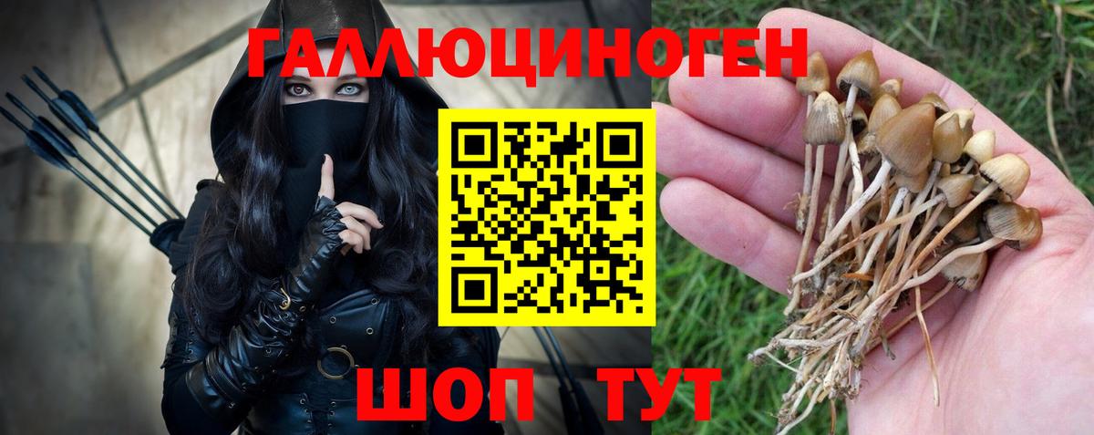 Галлюциногенные грибы прущие грибы Большой Камень