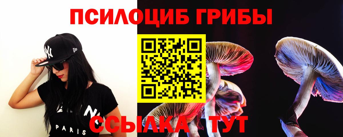 Галлюциногенные грибы Psilocybe  цена наркотик  Большой Камень  Вход с VPN 